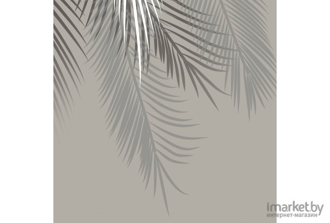 Фотообои Citydecor Пальмовые листья (300x254)
