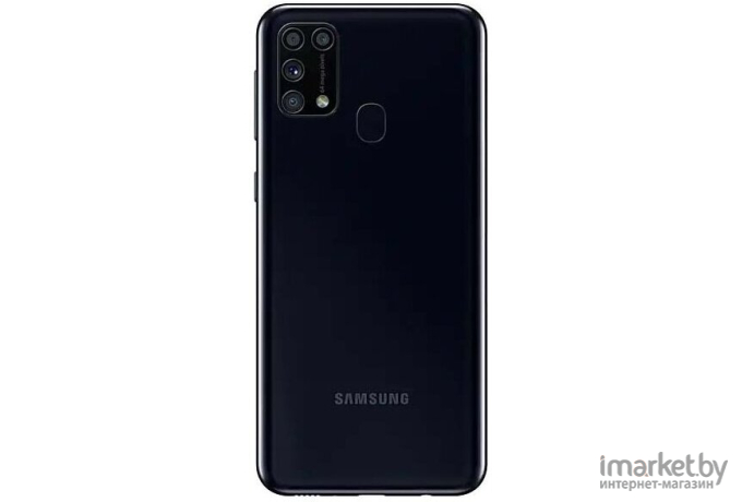 Мобильный телефон Samsung Galaxy M31 SM-M315F/DSN 6GB/128GB черный [SM-M315FZKVSER]