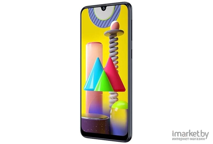 Мобильный телефон Samsung Galaxy M31 SM-M315F/DSN 6GB/128GB черный [SM-M315FZKVSER]