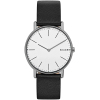 Наручные часы Skagen мужские SKW6419