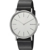 Наручные часы Skagen мужские SKW6419