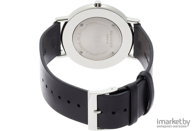 Наручные часы Skagen мужские SKW6419