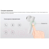 Наушники Xiaomi True Wireless Earphones 2 Basic [BHR4089GL]