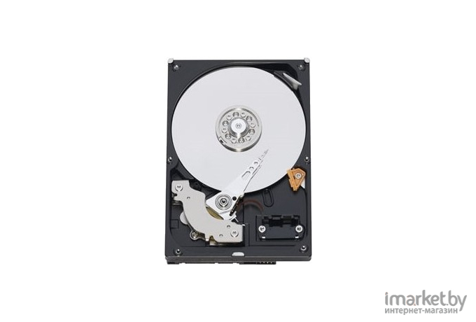 Жесткий диск WD 250Gb Western Digital Caviar Blue [WD2500AAKX]