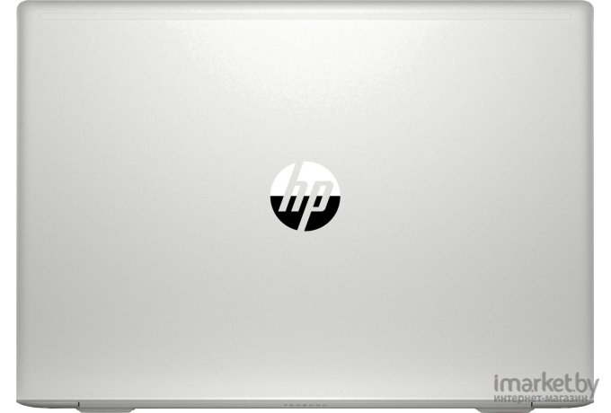 Ноутбук HP ProBook 455 G7 [1F3M4EA]