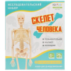 Детский набор для опытов ND Play Скелет человека [NDP-058]