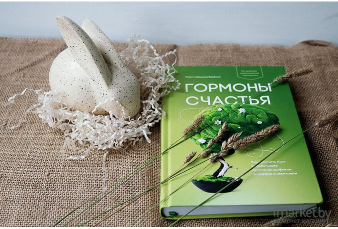 Книга МИФ Гормоны счастья (Бройнинг Л.)