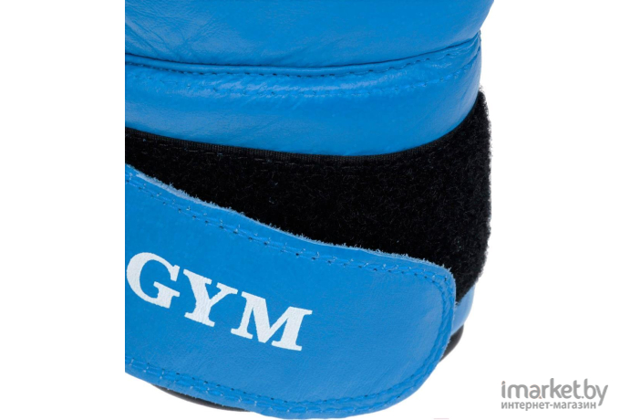 Боксерские перчатки Green Hill GYM BGG-2018 10 Oz синий