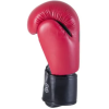 Боксерские перчатки KSA Spider Red  6 Oz красный