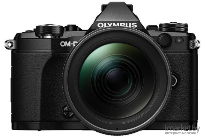 Фотоаппарат Olympus OM-D E-M5 Mark III Body черный