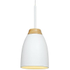 Подвесной светильник LOFT IT LOFT4402A-WH