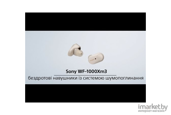 Наушники Sony WF-1000XM3 черный [WF1000XM3B.E]