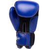 Боксерские перчатки Green Hill SILVER BGS-2039 12 Oz синий