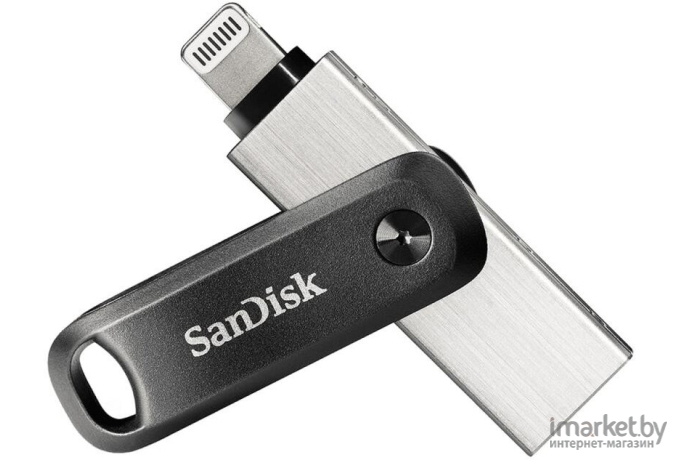 Usb flash SanDisk 256GB [SDIX60N-256G-GN6NE]