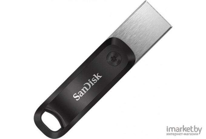 Usb flash SanDisk 256GB [SDIX60N-256G-GN6NE]