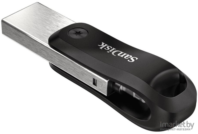 Usb flash SanDisk 256GB [SDIX60N-256G-GN6NE]