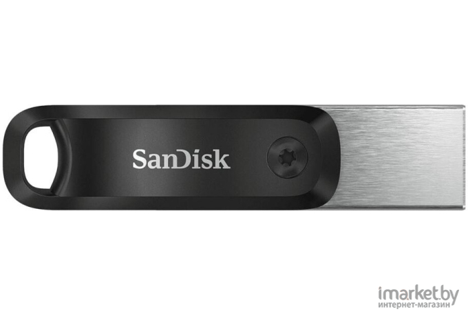 Usb flash SanDisk 256GB [SDIX60N-256G-GN6NE]