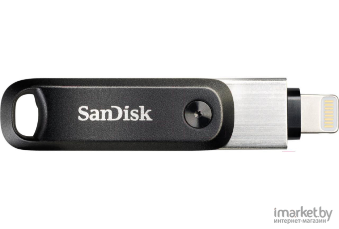 Usb flash SanDisk 256GB [SDIX60N-256G-GN6NE]