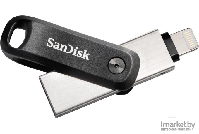 Usb flash SanDisk 256GB [SDIX60N-256G-GN6NE]