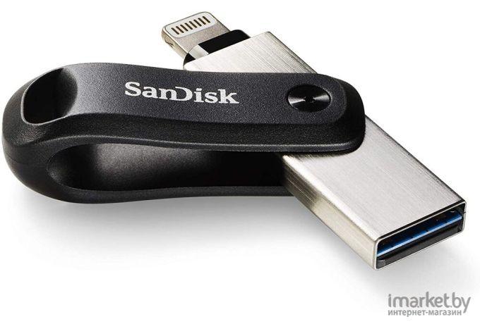 Usb flash SanDisk 256GB [SDIX60N-256G-GN6NE]