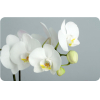 Стол обеденный Алмаз-Люкс СО-Д-01-28 белая орхидея