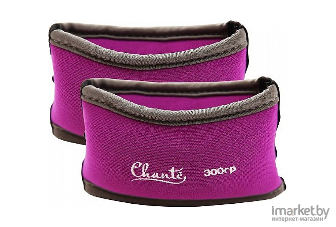 Комплект утяжелителей Chanté CH21-300-23-34  300гр Phenomen Purple