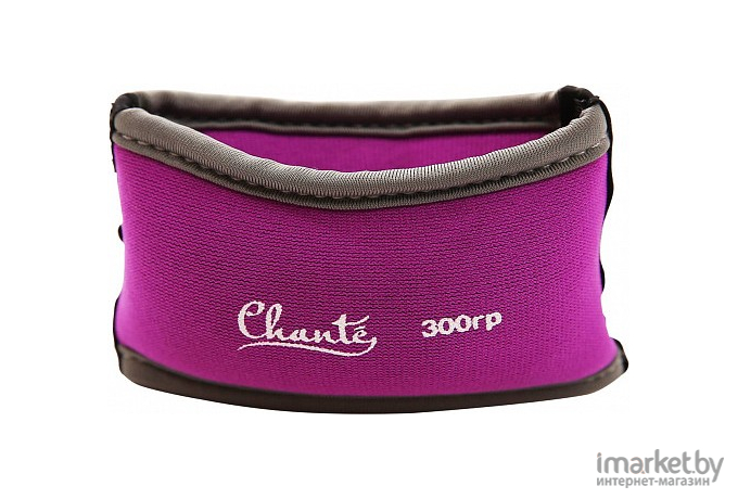Комплект утяжелителей Chanté CH21-300-23-34  300гр Phenomen Purple