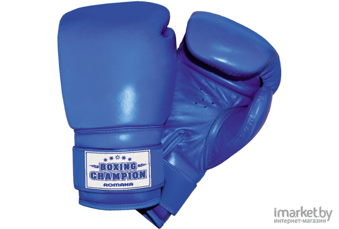 Боксерские перчатки Romana 6 Oz ДМФ-МК-01.70.04 синий [СГ000002832]