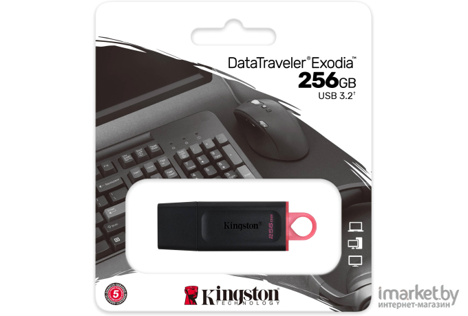 Usb flash Kingston 256Gb DataTraveler Exodia [DTX/256GB]