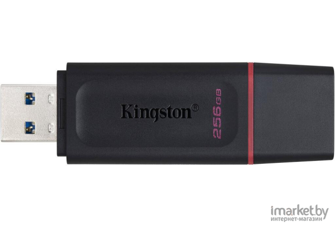 Usb flash Kingston 256Gb DataTraveler Exodia [DTX/256GB]