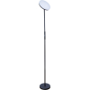 Торшер Arte Lamp A1822PN-1BK