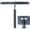 Торшер Arte Lamp A1822PN-1BK