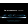 Мобильный телефон Apple iPhone 12 Pro Max 256GB золотой