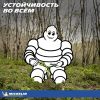 Шины Michelin X-Ice Snow 225/55R18 102H