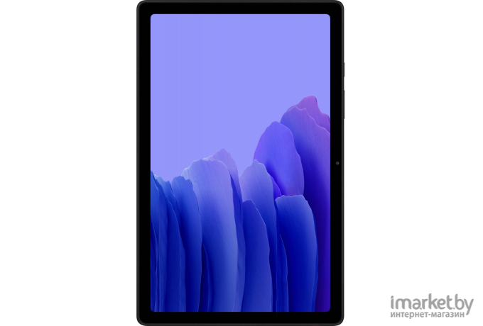 Планшет Samsung Galaxy Tab A7 64GB LTE SM-T505N темно-серый [SM-T505NZAESER]