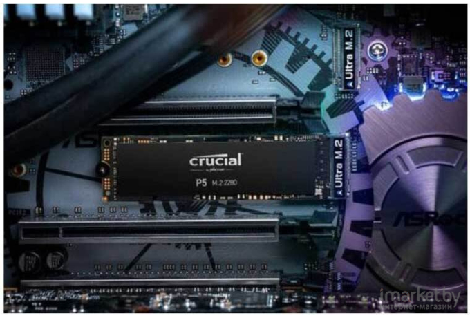 SSD диск Crucial 1000GB P5 M.2 [CT1000P5SSD8]