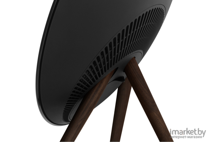 Hi-fi акустика Bang & Olufsen Beoplay A9 4.G Black/Black [1200363]