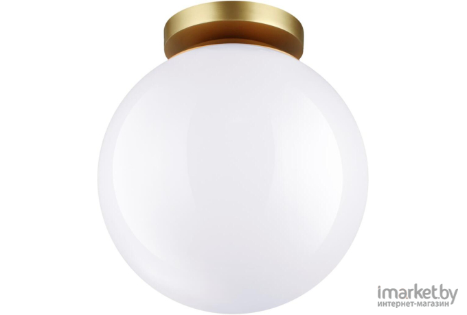 Накладной светильник Odeon Light 4248/1C