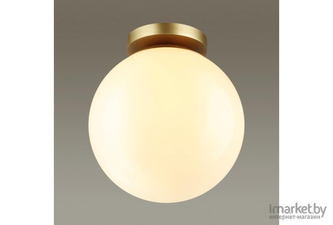 Накладной светильник Odeon Light 4248/1C