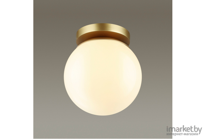 Накладной светильник Odeon Light 4247/1C