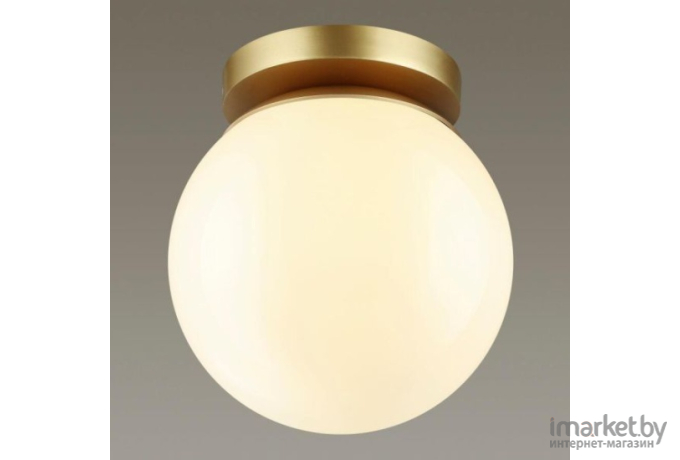 Накладной светильник Odeon Light 4247/1C