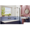 Стеклянная шторка для ванной Ambassador 16041207