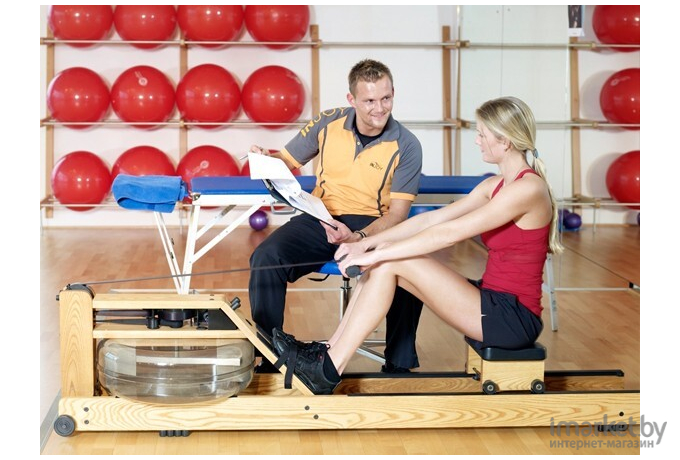 Гребной тренажер WaterRower Natural с дисплеем ясень [WA\100 S4\BT-AS-BT]