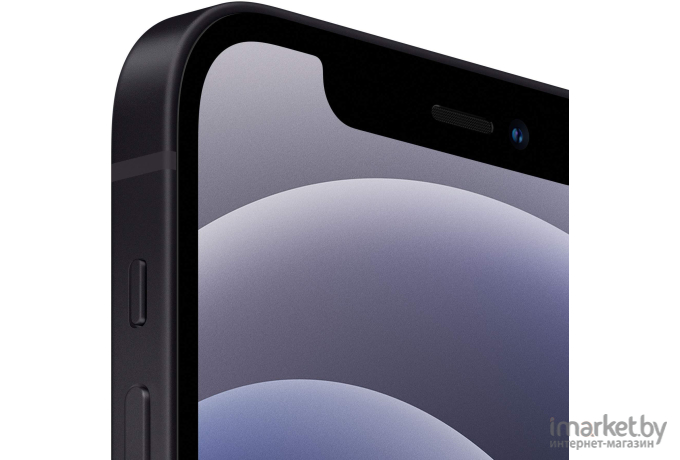 Мобильный телефон Apple iPhone 12 256GB Black [MGJG3]