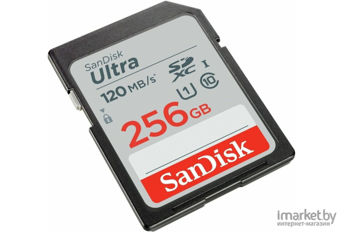 Карта памяти SanDisk SD 256GB SDXC Class 10 UHS-I Ultra 120MB/s [SDSDUN4-256G-GN6IN]