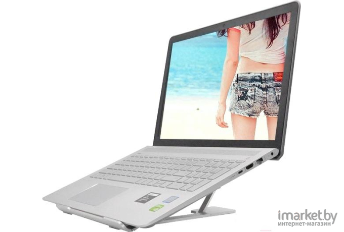 Подставка для ноутбука Evolution LS110