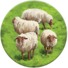 Настольная игра Мир Хобби Каркассон 9: Холмы и овцы [915254]