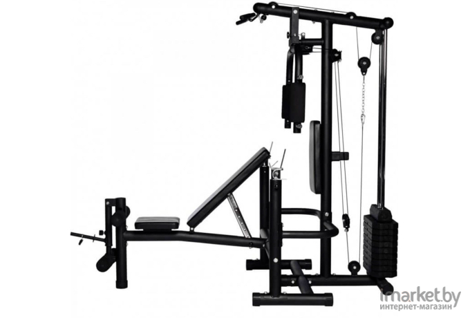 Многофункциональная станция DFC Homegym D854 (три короба + два груза)