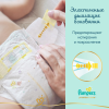 Детские подгузники Pampers Premium Care 3 Midi (148шт)