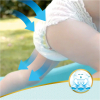 Детские подгузники Pampers Premium Care 3 Midi (48шт)